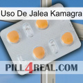 Kamagra Jelly Use 24